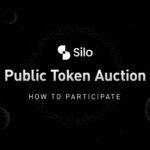 Silo finance