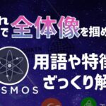 これ一本で全体像を掴める!Cosmos(ATOM)関連の用語や特徴をざっくり解説!【コスモス】